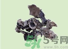 高血壓可以吃黑木耳嗎？木耳降血壓的做法有哪些？