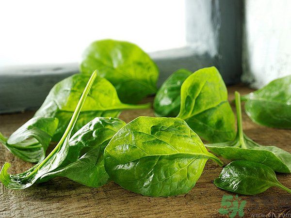 缺鐵有什么癥狀和危害？含鐵高的食物有哪些？