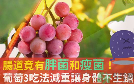 吃葡萄可以不吐葡萄籽嗎？吃葡萄皮好不好？