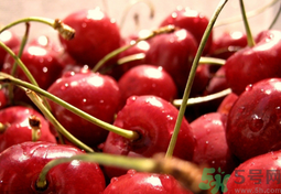 櫻桃可以放冰箱保鮮嗎?櫻桃能放冰箱保存多久?.png 櫻桃可以放冰箱保鮮嗎?櫻桃能放冰箱保存多久?.png