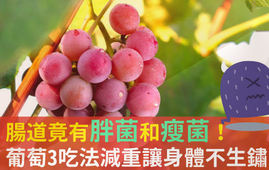 吃葡萄可以不吐葡萄籽嗎？吃葡萄皮好不好？