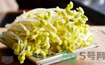 1457428008297625.jpg snap028.jpg