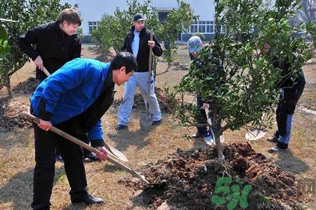 如何提高植樹的成活率？植樹節(jié)種樹要注意哪些細節(jié)？