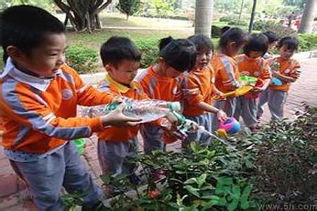 如何提高植樹的成活率？植樹節(jié)種樹要注意哪些細節(jié)？