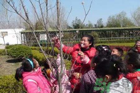 如何提高植樹的成活率？植樹節(jié)種樹要注意哪些細節(jié)？