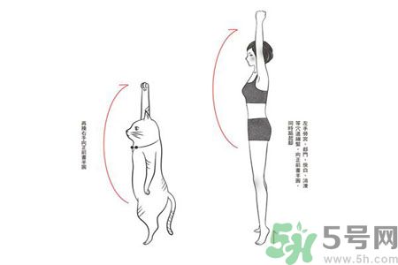 電腦族肩膀痛疼怎么辦？肩膀痛疼怎么解決？