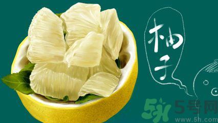 多吃柚子能減肥嗎？怎樣吃柚子才健康？