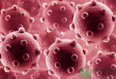 黃熱病是什么?黃熱病是傳染病嗎?.png 黃熱病是什么?黃熱病是傳染病嗎?.png