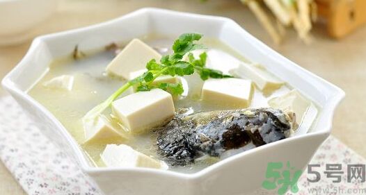 吃魚(yú)真的能變聰明嗎？喝魚(yú)湯有什么好處？