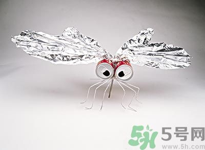 黃熱病是什么樣的疾??？黃熱病有哪些癥狀？