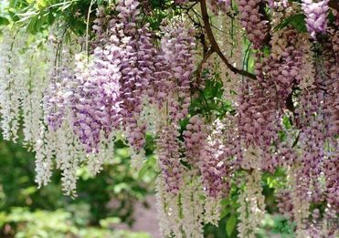 春天吃什么蔬菜好？春天吃蔬菜對身體有什么好？