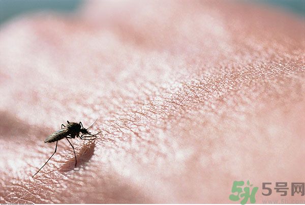 打黃熱病疫苗注意事項(xiàng)？防蚊蟲叮咬的最好方法