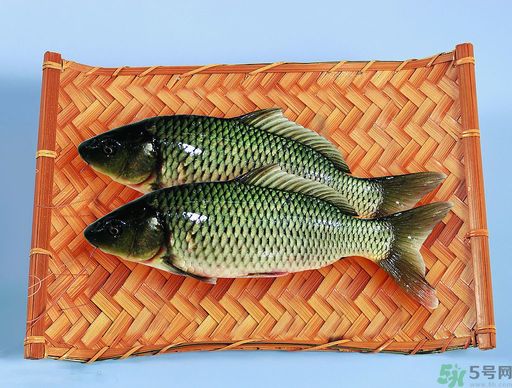 孕婦吃什么魚對(duì)胎兒好？孕婦吃什么魚最好？