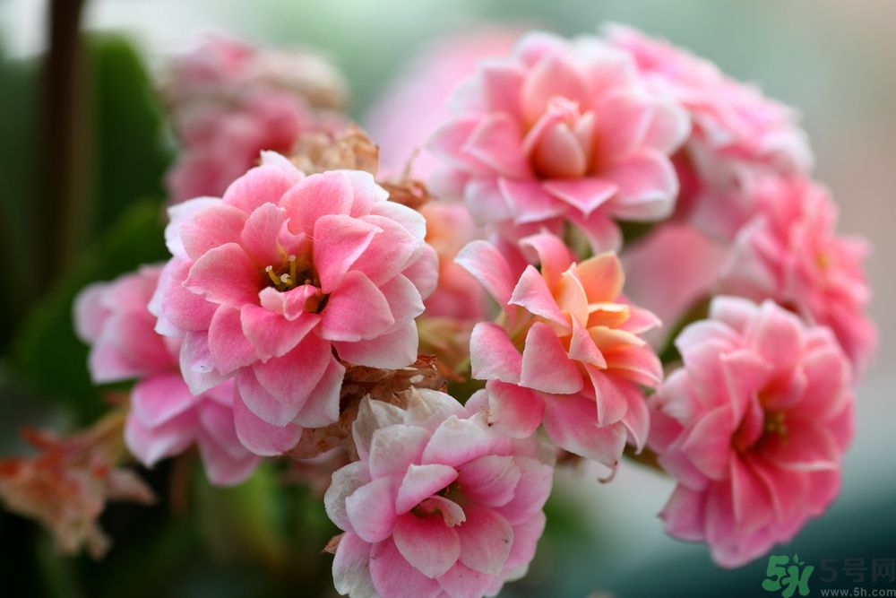 怎么才能更加長(zhǎng)壽？要長(zhǎng)壽需要做什么？