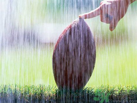 濕氣重的癥狀？怎么去除體內(nèi)的濕氣？