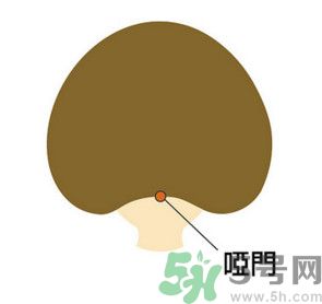 臉總是腫腫的怎么辦？臉有點浮腫怎么消腫？