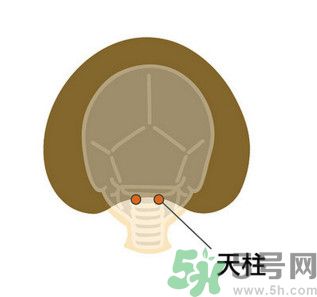 臉總是腫腫的怎么辦？臉有點浮腫怎么消腫？