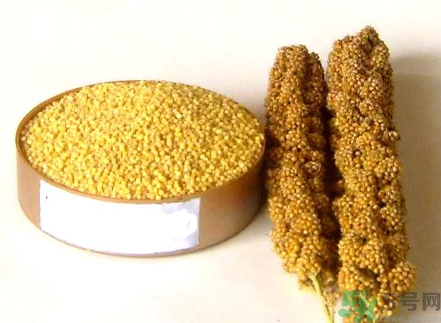 失眠吃什么才能好好睡覺(jué)？失眠了應(yīng)該怎么辦？