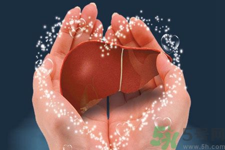 春天養(yǎng)肝吃什么好？春天養(yǎng)肝可以吃堅果嗎？