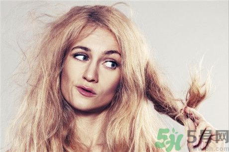 頭發(fā)分叉怎么辦？頭發(fā)油怎么辦？