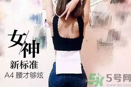 B5腰圍比A4腰圍更好？B5腰是什么意思？