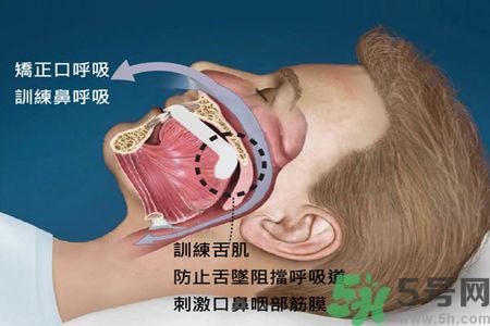 耳鳴是什么原因引起的？耳鳴怎么治療最好？