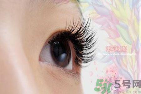 種睫毛的危害有哪些？種睫毛能保持多久？
