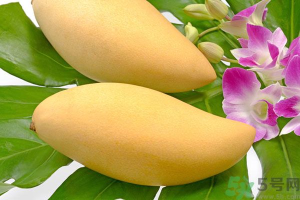 吃芒果嘴唇過敏怎么辦？為什么吃了芒果后嘴巴癢？