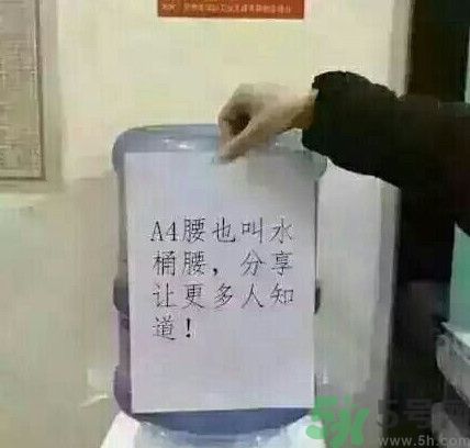 a4腰也叫水桶腰是什么意思？a4腰也叫水桶腰圖片？ 