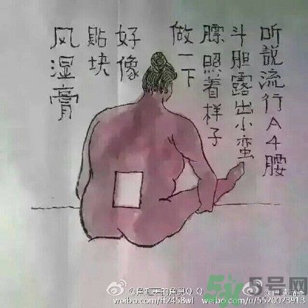 a4腰也叫水桶腰是什么意思？a4腰也叫水桶腰圖片？ 