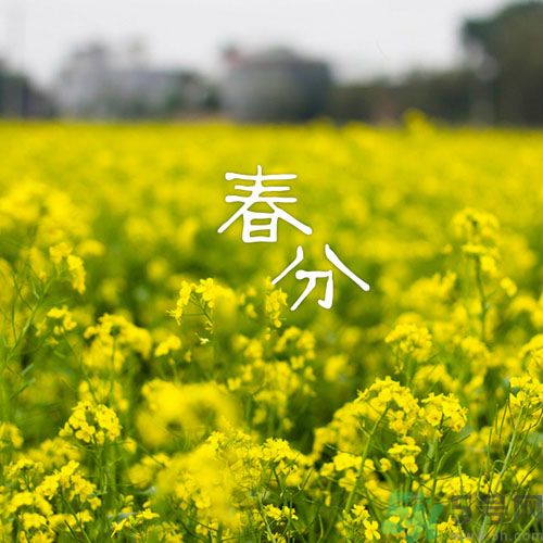 春分時(shí)養(yǎng)生要注意什么？春分要預(yù)防哪些疾病？