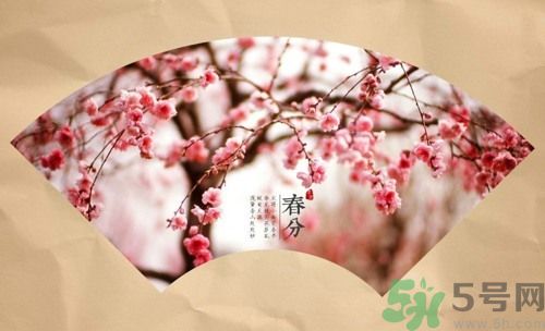 春分時(shí)養(yǎng)生要注意什么？春分要預(yù)防哪些疾??？