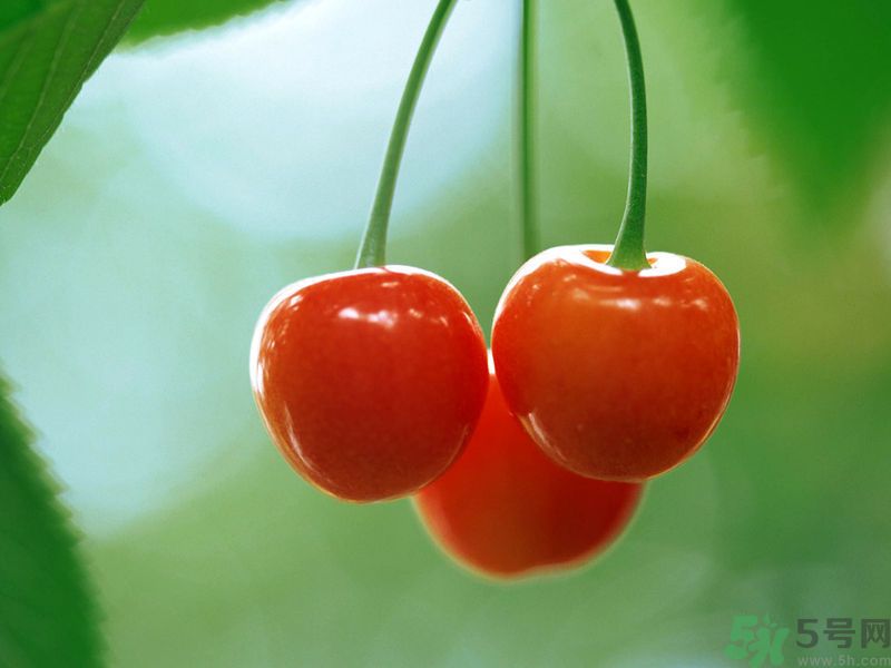 春分時(shí)節(jié)養(yǎng)生吃什么水果好？那些水果可以春天吃？