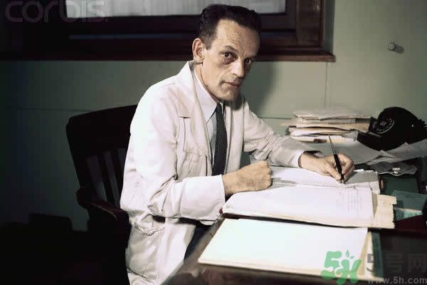 黃熱病是什么疾??？黃熱病怎樣有效的預(yù)防？