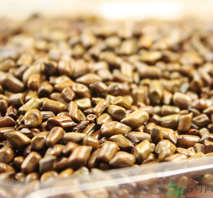 什么花可以凈化空氣？什么花可以減肥？