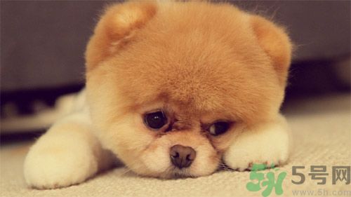 睡覺(jué)能戴手表嗎？睡覺(jué)不能帶的東西有哪些？