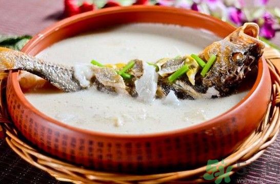 煲魚湯怎么去腥？家常魚湯做法有哪些？