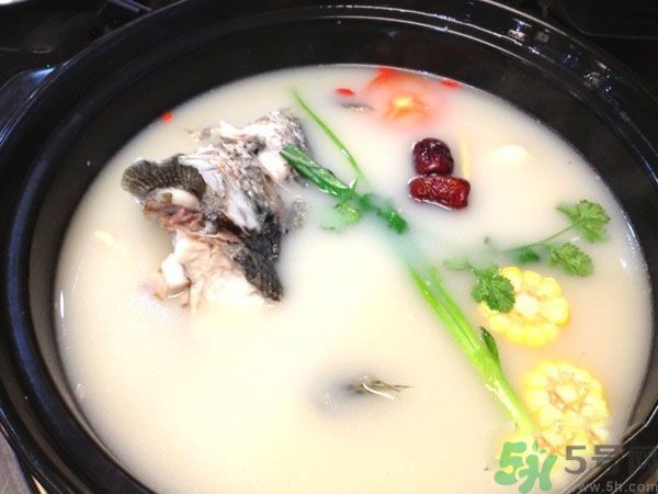 煲魚湯怎么去腥？家常魚湯做法有哪些？