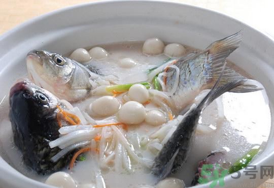 煲魚湯怎么去腥？家常魚湯做法有哪些？