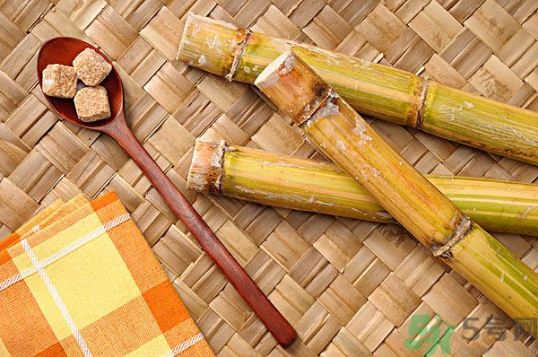 清明節(jié)能吃甘蔗嗎？清明節(jié)吃甘蔗會中毒嗎？