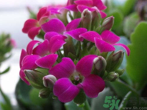 從身體特征看出你是否長壽？要長壽學(xué)要做這些？