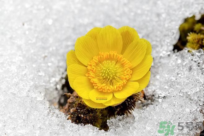 清明節(jié)有哪些習俗？清明節(jié)習俗的來源？