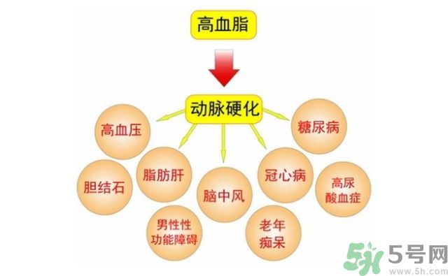 吃什么可以降血脂？高血脂吃什么好？