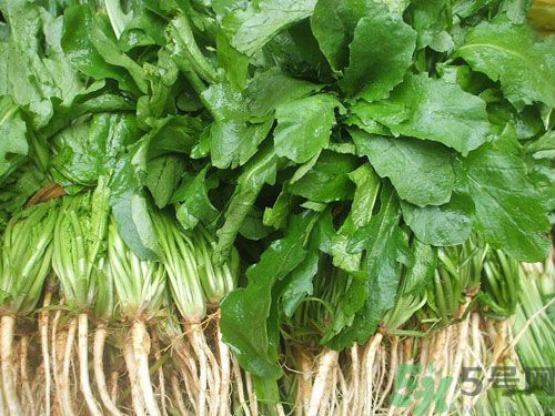 薺菜是發(fā)物嗎？薺菜是不是發(fā)物？