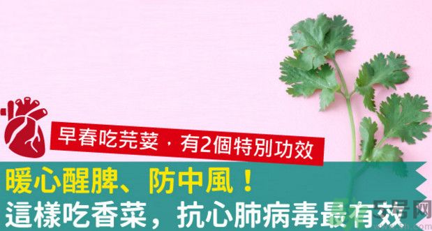 春天吃香菜好嗎？春天吃香菜有什么好處？
