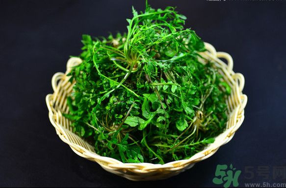 薺菜根能吃嗎？薺菜要去根吃嗎？