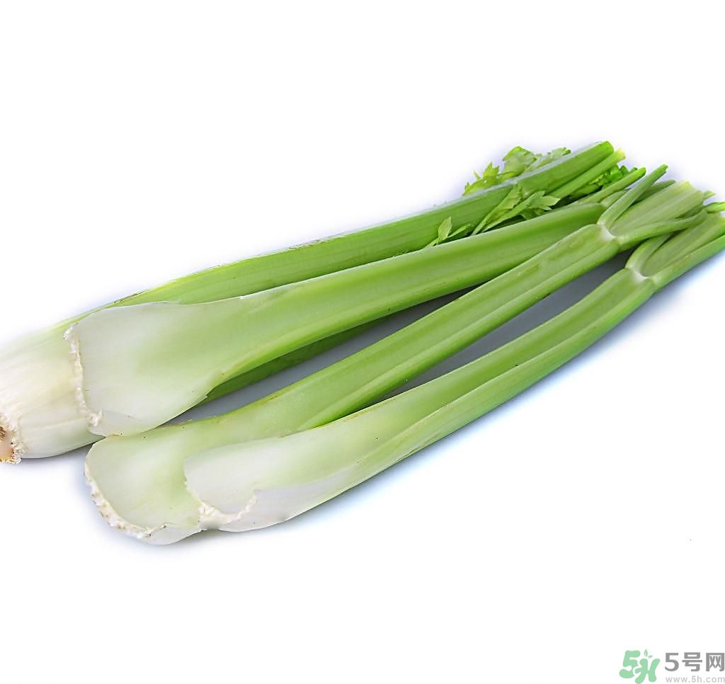 芹菜可以減肥嗎？芹菜有什么功效？