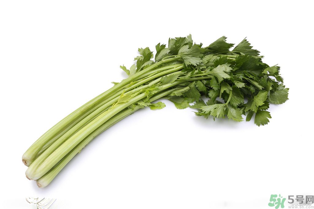 芹菜可以減肥嗎？芹菜有什么功效？