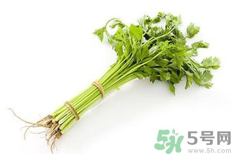 芹菜可以減肥嗎？芹菜有什么功效？