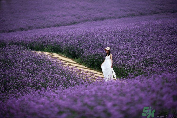 這9種男人女人一定不能嫁？哪種男人女人很受傷？